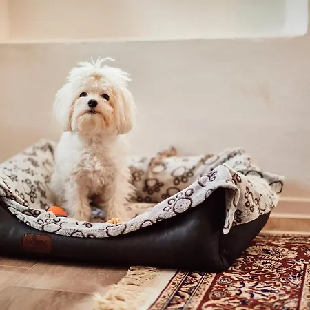 Ava House Casa vacanze *