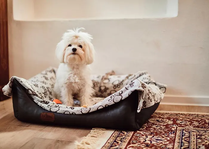 Ava House Počitniška hiša *